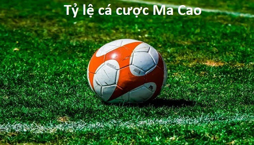 ty-le-ca-cuoc-ma-cao-la-gi-cac-loai-ty-le-ca-cuoc-ma-cao-pho-bien-hien-nay