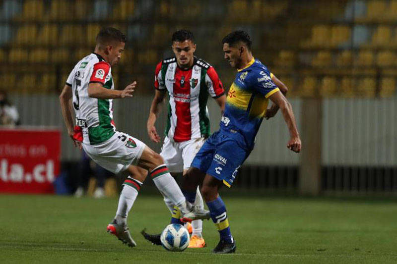 soi-keo-palestino-vs-everton