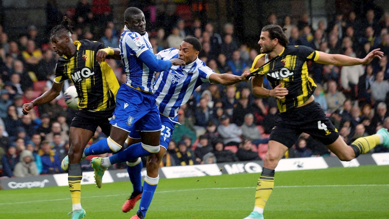 Soi kèo Sheffield Wed vs Watford