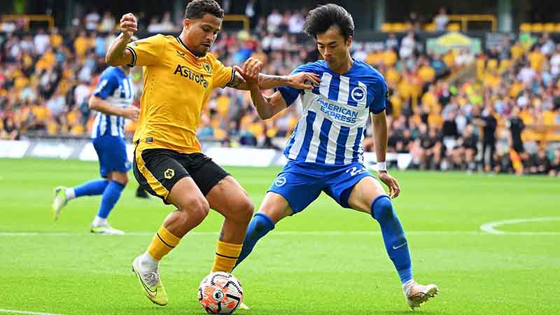 Soi kèo Wolves vs Brighton