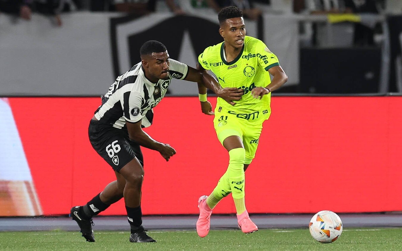 nhan-dinh-soi-keo-palmeiras-vs-botafogo-luc-07h30-ngay-22-8-2024-1