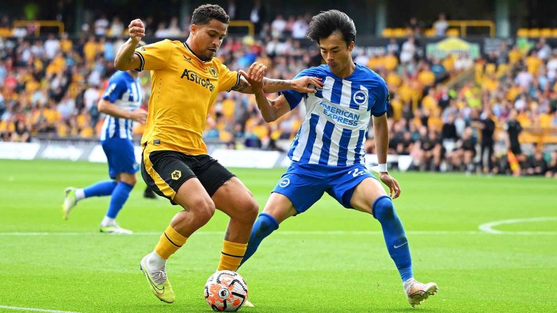 nhan-dinh-wolves-vs-brighton-ngay-05-10